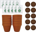 BUZZY Seeds Sunflower Starter Kit Bulk 10 Pack – 3inch Terracotta Pots, Soil Pellets, Flower Seeds for DIY Craft Projects, Favors, and Seed Starting
