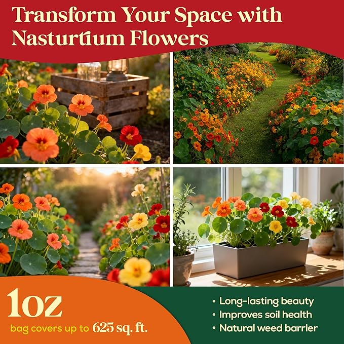Nasturtium Seeds Pack 1 oz Non-GMO Heirloom Nasturtium Seeds for Planting, Perennial Flowers in Waterproof Seed Packet, Wildflower Seeds for Planting Garden Indoor & Outdoor Gardening