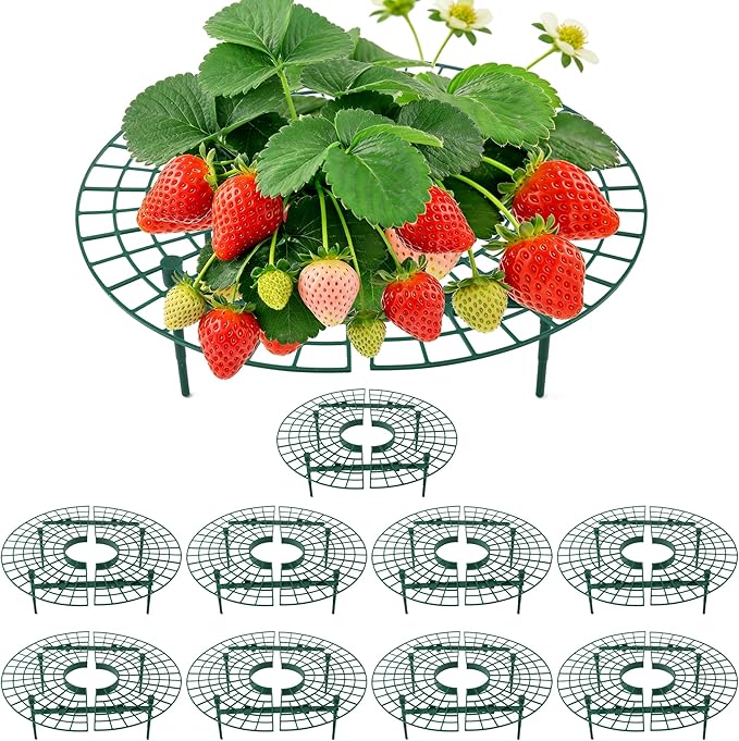Strawberry Plant Support, 10 Pack, Raised Grid Stand to Keep Strawberries Off the Ground, Strawberry Holder for Garden Beds, Raised Planters & Pots (Round)