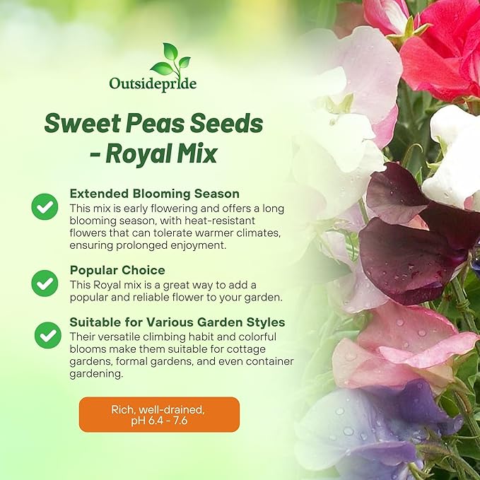Outsidepride Royal Mix Sweet Pea Seeds - 500 Pcs Annual, Easy to Grow, Vine Seeds for Planting Fragrant, Long-Lasting Flowers with Free-Flowering Habit & Tall Size for Vertical Gardens