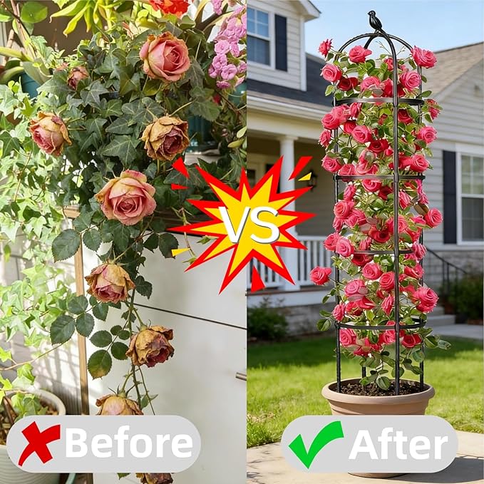 2 Pack Garden Obelisk Trellis for Climbing Plants Outdoor Indoor, 6 Ft Round Rustproof Metal Pot Plant Support Trellis for Rose Bush Clematis Vine Jasmine Flower Morning Glory Potted Plants Black