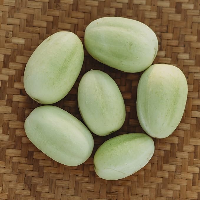 Dragon's Egg Cucumber - 25 Seeds - Heirloom & Open-Pollinated Variety, Non-GMO Vegetable Seeds for Planting in The Home Garden, Thresh Seed Company