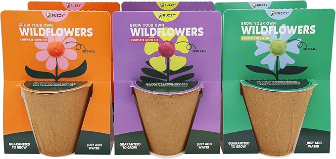 BUZZY Seeds Wildflower Seed Ball Cup 6-Pack – Over 50 Seeds Per Ball, Colorful Decorative Seed Balls in Biodegradable Cups with Growing Medium – Indoor Gardening Gift Set