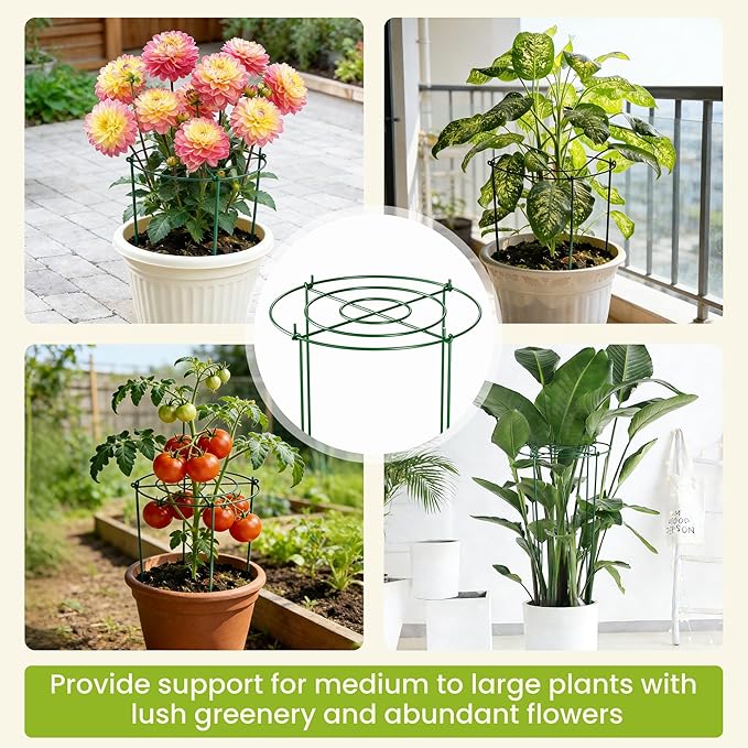 6 Pack Peony Cages and Supports, 11.8" x 24" Tall Peonies Support Cage, Heavy Duty Metal Peony Stakes and Supports for Rose Hydrangea Flower Plant