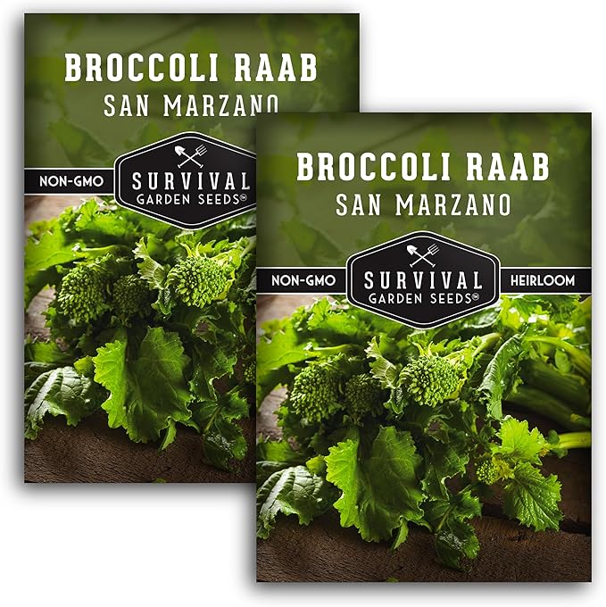 San Marzano Raab Broccoli Rabe Seeds for Planting – Italian Heirloom Rapini Variety, Fast-Growing Cool-Season Greens, Non-GMO High Yield Vegetable Garden Favorite – Survival Garden Seeds (2 Packs)