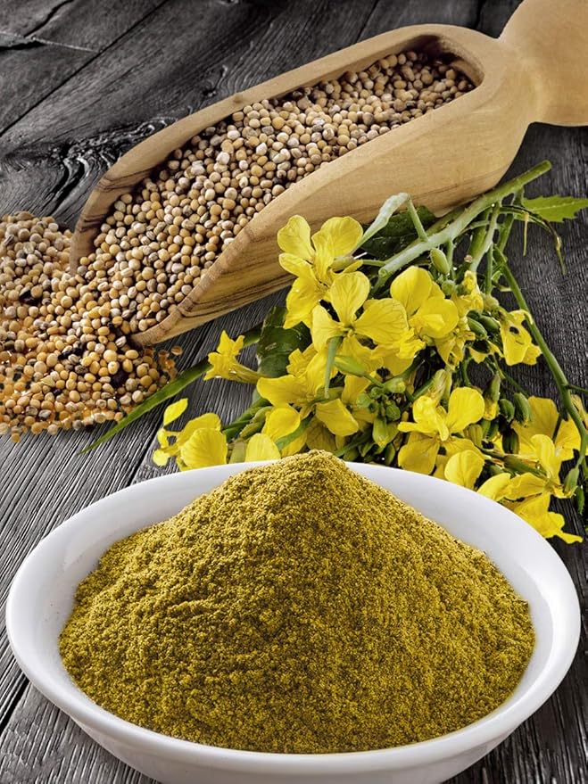 Seeds Vegetable Yellow Mustard 25 Days - 500 Seeds