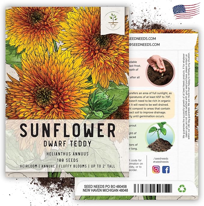 Seed Needs Sunflower Seeds for Planting Dwarf Teddy/Dwarf Sungold Sunflowers - Heirloom & Open Pollinated Flower Seed to Plant a Butterfly Garden (5 Packs)