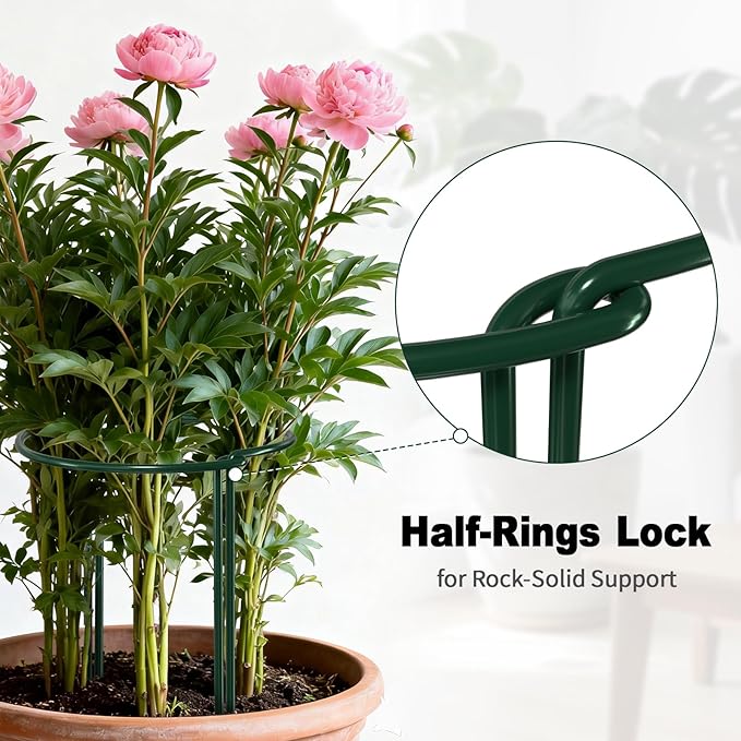 AMAGABELI GARDEN & HOME 6 Pack Plant Support Stakes 10" W x 24" H Heavy Duty Half Round Peony Cage Metal Garden Support Structures Plant Cage with Ties for Indoor Flower Tomato Hydrangea Monstera