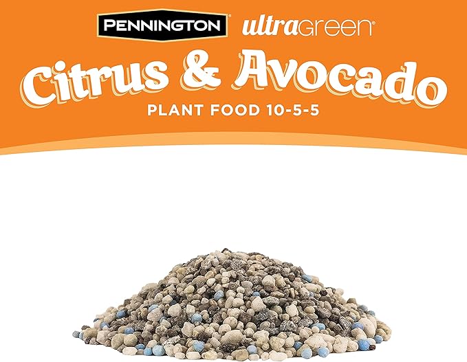 Pennington 100525941 UltraGreen Citrus & Avocado 10-5-5 Plant Food, 5 lb