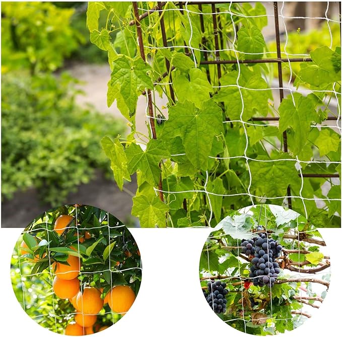 Heavy Duty Garden Trellis Netting, 6 x 30 ft, White, Rectangular, Reusable, Supports Vine Vegetables Fruits Flowers, Ideal for Vertical Horizontal Gardening