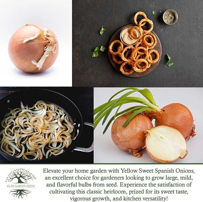 Yellow Sweet Spanish Onion Seeds (Allium cepa) – 750+ Non-GMO Heirloom Seeds by Isla’s Garden Seeds, Mild & Sweet Flavor, Large Golden Bulbs, Excellent for Cooking, Slicing & Storage, Garden Gift Idea