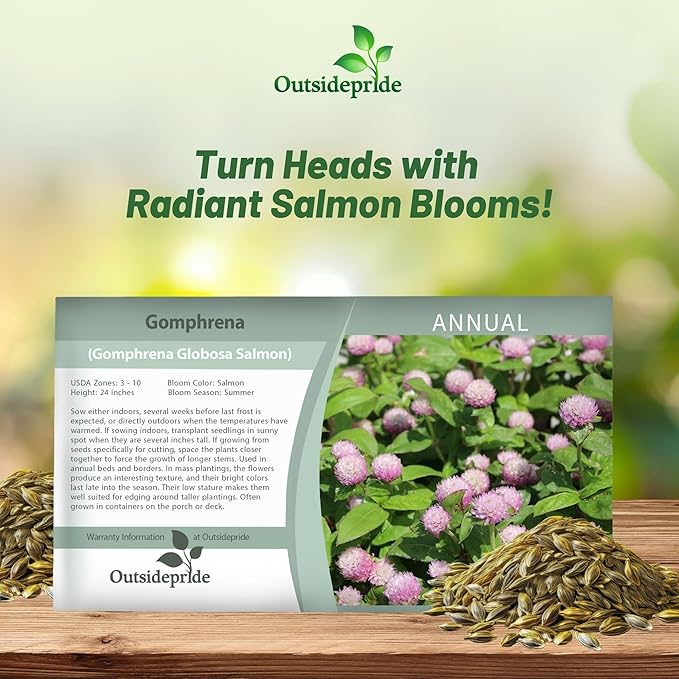 Outsidepride Salmon Gomphrena Seeds - 1000 Pcs Annual, Heat & Drought Tolerant, Pollinator Friendly Globe Amaranth Seeds for Planting w/Vibrant Round Blooms for Beds, Borders, and Arrangements