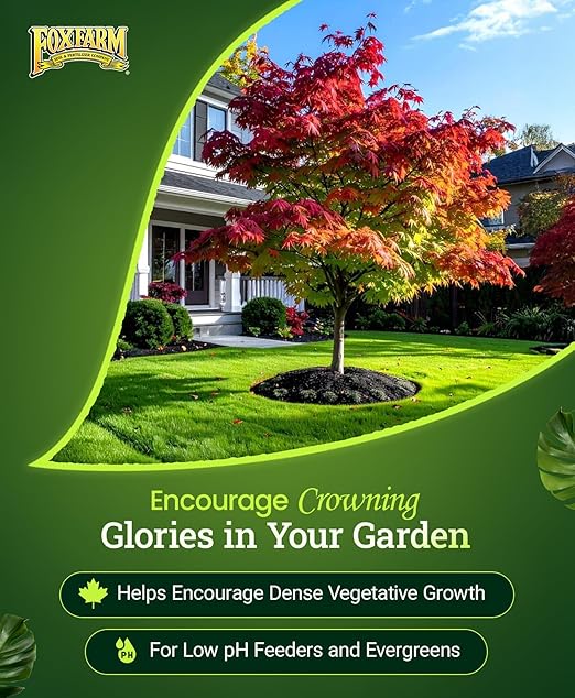 FoxFarm Happy Frog Japanese Maple Fertilizer - Supports Vegetative Growth & Strong Branch Development - 4-3-4 Blend with Soil Microbes & Mycorrhizal Fungi for Low pH Feeders - 4lb, 2 Pack
