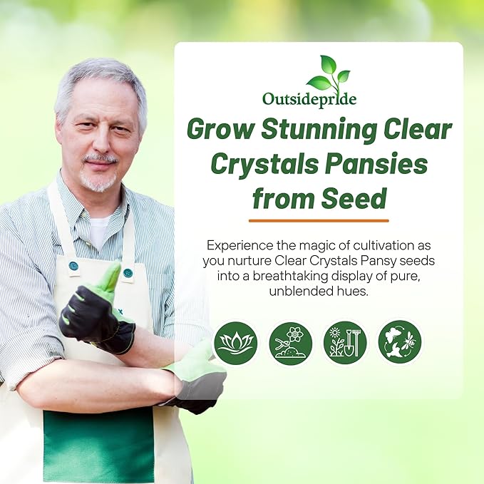 Outsidepride Light Blue Viola Pansy Seeds for Planting - 2,000 Pcs. Biennials, Trailing, Cold-Hardy & Pollinator Friendly Flowers with Fragrant Blooms for Garden Beds, Borders & Container Displays