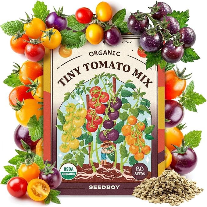 Seedboy Organic Rainbow Cherry Tomato Seeds for Planting Indoor and Outdoor, Non-GMO and USDA Certified Vegetable Seed Packet for Hydroponic Garden Indoor or Planting Outdoors (Cherry Tomato)