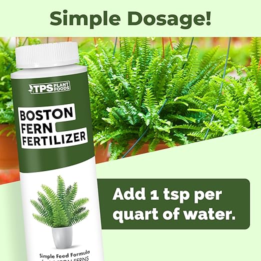 Boston Fern Fertilizer – Liquid Plant Food for Fuller Fronds, Rich Green Color & Healthy New Growth, 8 oz