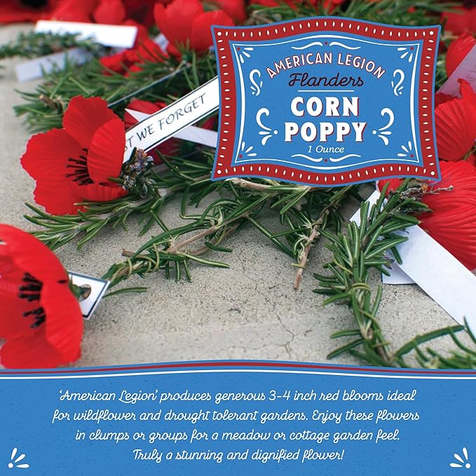 Corn Poppy Wildflower Seeds – 190,000+ Non-GMO Seeds – American Legion Red Poppy – Attracts Bees & Butterflies – Easy-to-Grow Annual for Pollinator Gardens, Meadows & Landscaping