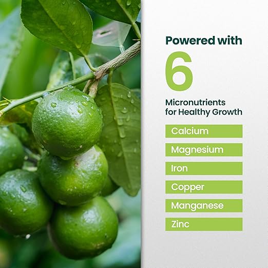Lime Tree Fertilizer 32oz - Citrus Fertilizer for Lime Trees Live Plants - Makes 32 Gallons of Liquid Fruit Tree Fertilizer - Citrus Plant Food