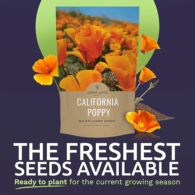 Bulk California Orange Poppy Wildflower Seeds - 1 Pound Bag - Over 320,000 Native Seeds - California State Flower!