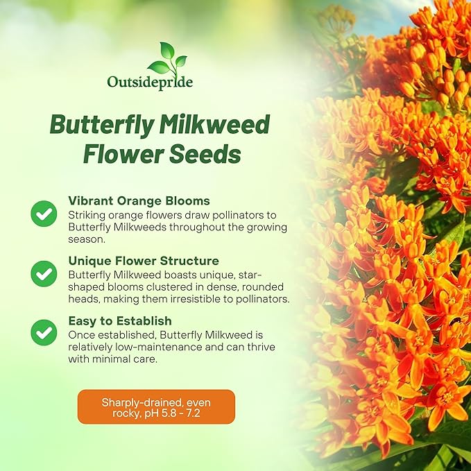 Outsidepride Butterfly Milkweed Seeds - 1000 Pcs Perennial, Heat & Humid Tolerant, Pollinator-Friendly Wildflower Seeds, Ideal for Monarch Butterflies, Cut Flowers, Borders, or Meadows