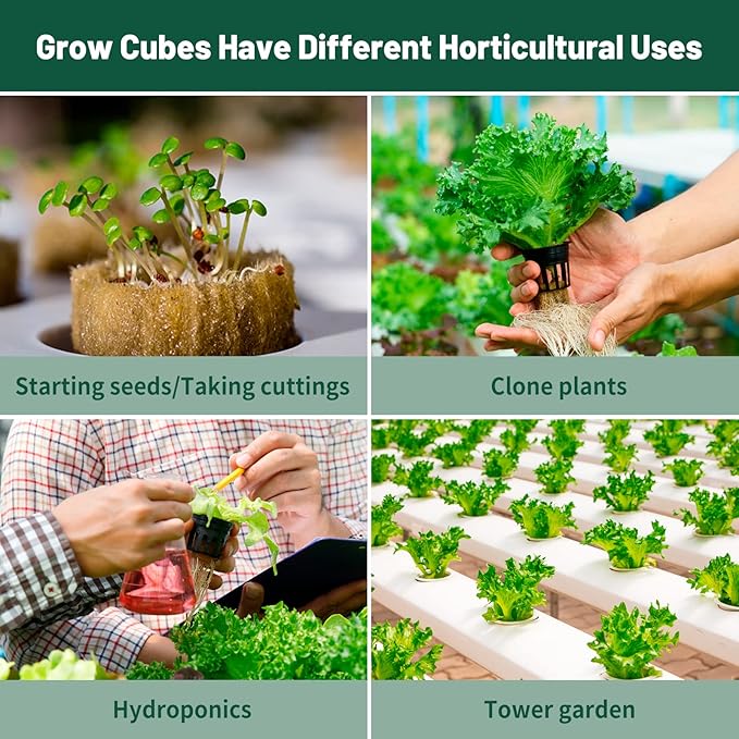 1" Rockwool Cubes for Hydroponics 200 Plugs with 50 Pack 1.5 inch Net Pots Hydroponics Supplies Cups for Rooting, Clone Plants, Starting Seeds, Ideal Rockwool for Hydroponic Growing
