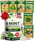 HOME GROWN Mint Seeds Variety Pack - 600+ Heirloom Non-GMO USA Peppermint, Spearmint & More - Herb Seeds for Planting Indoor Outdoor Garden - Fresh Mint for Tea & Cooking
