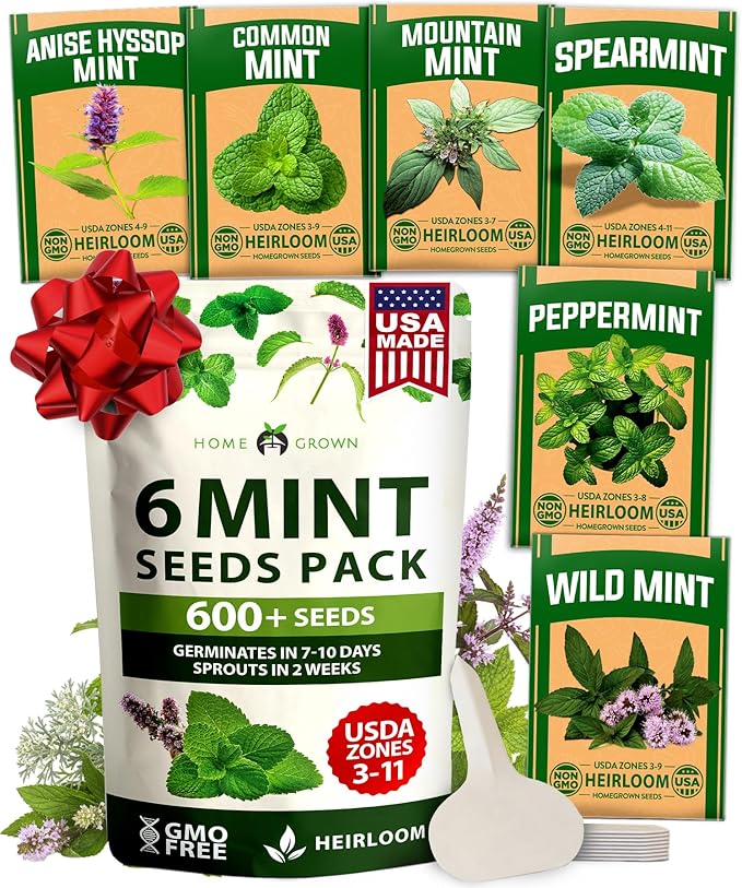 HOME GROWN Mint Seeds Variety Pack - 600+ Heirloom Non-GMO USA Peppermint, Spearmint & More - Herb Seeds for Planting Indoor Outdoor Garden - Fresh Mint for Tea & Cooking