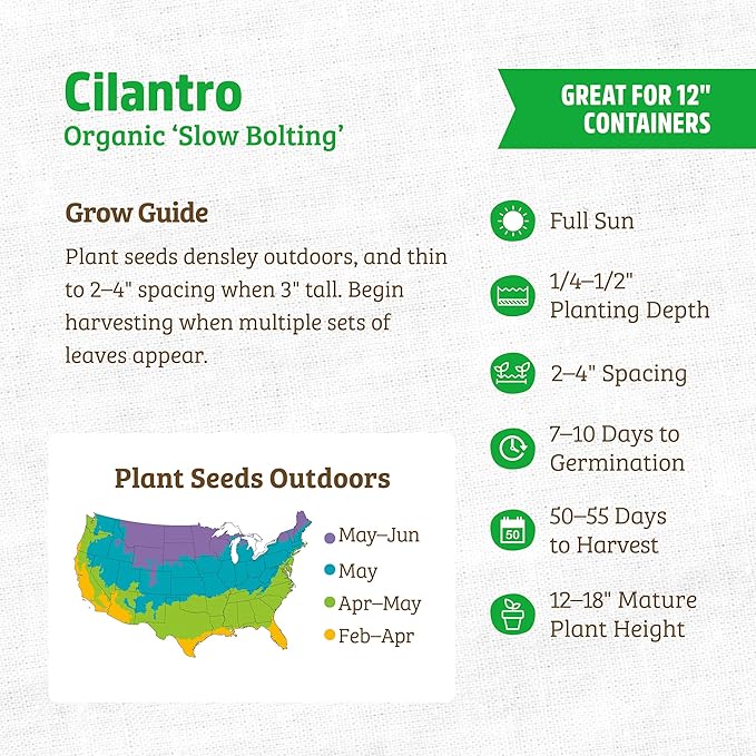 Back to The Roots 100% Organic Seed Packet Cilantro 'Slow Bolting'