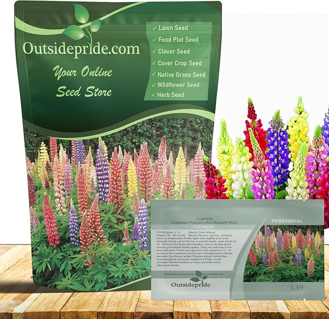 Outsidepride Mixed Russells Lupine Seeds - 1 Lb. Perennial, Self-Sowing, Cold Hardy & Frost Tolerant Wildflower Seeds for Fall Planting, Ideal for Attracting Pollinators & Hummingbirds