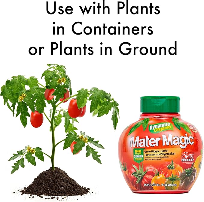 Dynamite Mater Magic - Organic Tomato Fertilizer for Bigger, Juicier Tomatoes and Vegetables, OMRI Listed, Nitrogen and Calcium-Rich Plant Food - .675 Pound Container with Shaker Lid (Pack of 2)