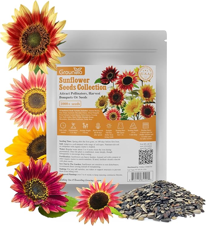 Sunflower Seeds for Planting, 15+ Varieties, 1 Oz, 300+ Mixed Seeds to Plant Colored Sunflower for Outdoors, Garden, Attracts Pollinators