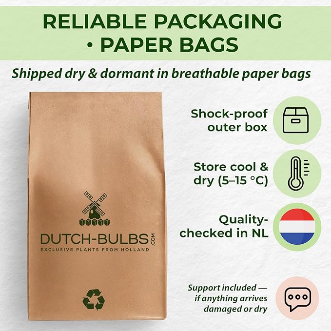 Whole Spring Tulip Bulbs Mix, 50 Pieces, Exclusive Tulips from Holland, 15 Varieties, Hardy and Perennial, Tulips for Garden, Pots, Balcony (Large Bulbs, No Seeds, Not Artificial)