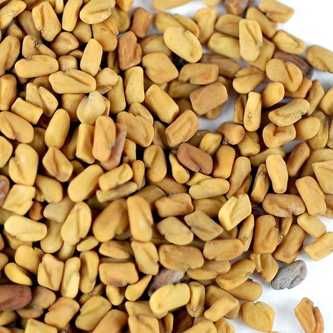 Organic Fenugreek Sprouting Seeds - 4 oz - Handy Pantry Brand - Seeds for Planting, Hydroponics, Growing Sprouts, Grinding for Spices & More