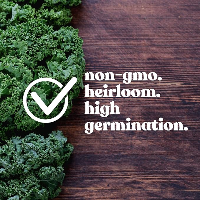 7 Leafy Power Green Seed Varieties for Planting – Non-GMO Heirloom Collection – Kale, Mixed Lettuce, Butterhead, Leaf Lettuce, Spinach, Arugula & Swiss Chard