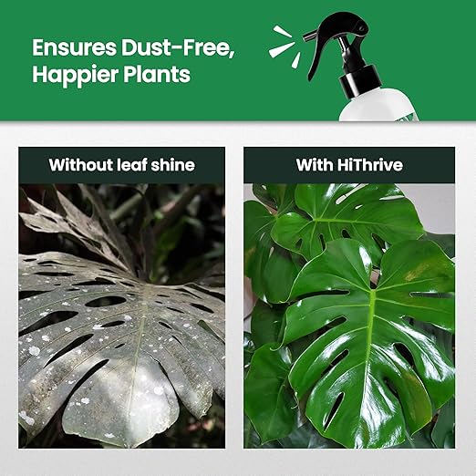 8oz Leaf Shine Spray for Indoor Plants - Plant Leaf Cleaner and Shine for Indoor Houseplants - Makes Leaves Shiny, Vibrant & Healthy