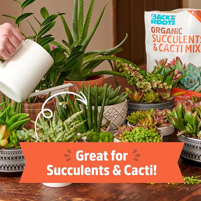 Back to The Roots 100% Organic Succulent & Cacti Mix (Value 12 Quart) | Made in The USA