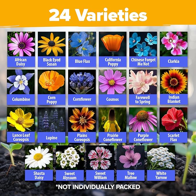 HOME GROWN 90,000+ Wildflower Seeds Mix 3oz 24 Varieties Non-GMO Perennial Flower Seeds for Planting Outdoors Butterfly & Pollinator Flower Mix Attract Bees Birds & Hummingbirds