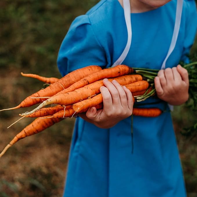 Kuroda Heirloom Carrot - 150 Seeds - Heirloom & Open-Pollinated Variety, Non-GMO Vegetable Seeds for Planting Indoors or Outdoors in Containers or The Home Garden, Thresh Seed Company