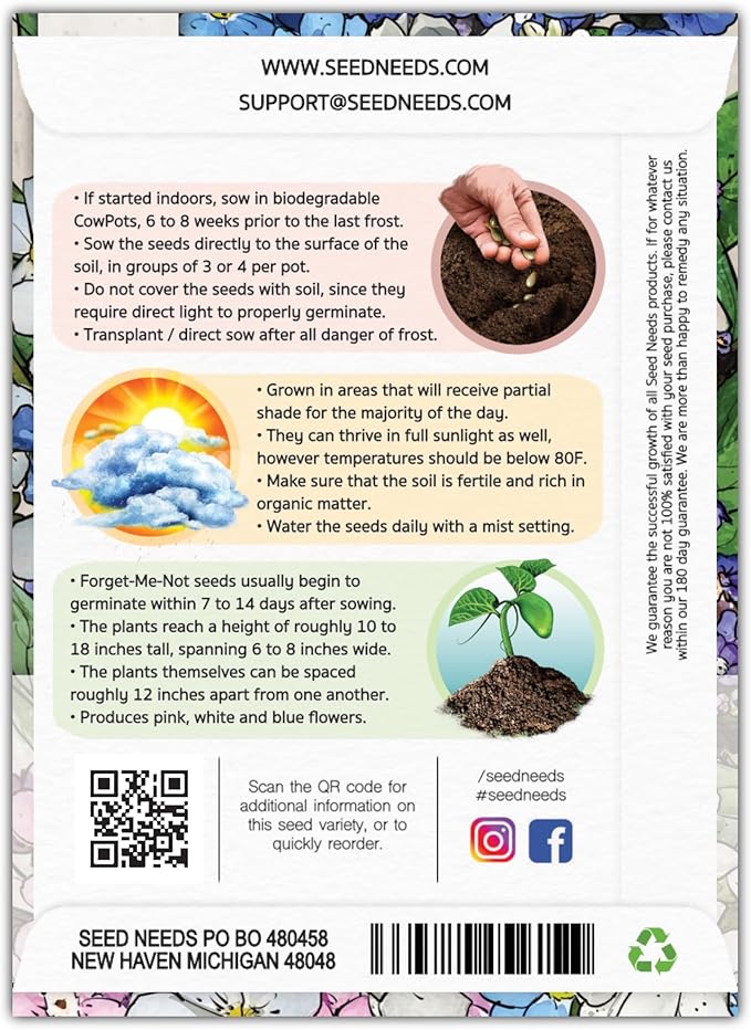 Seed Needs Mixed Forget Me Not Seeds for Planting - Heirloom & Open Pollinated Wild Flower Seed to Plant an Outdoor Butterfly Garden to Attract Pollinators (1 Pack)