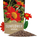 Mexican Sunflower Seeds – Bulk Quarter Pound Bag – Over 10,000 Open Pollinated Non-GMO Wildflower Seeds – Tithonia rotundifolia