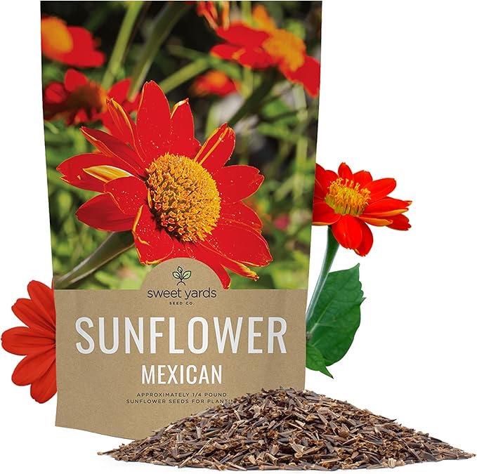 Mexican Sunflower Seeds – Bulk Quarter Pound Bag – Over 10,000 Open Pollinated Non-GMO Wildflower Seeds – Tithonia rotundifolia