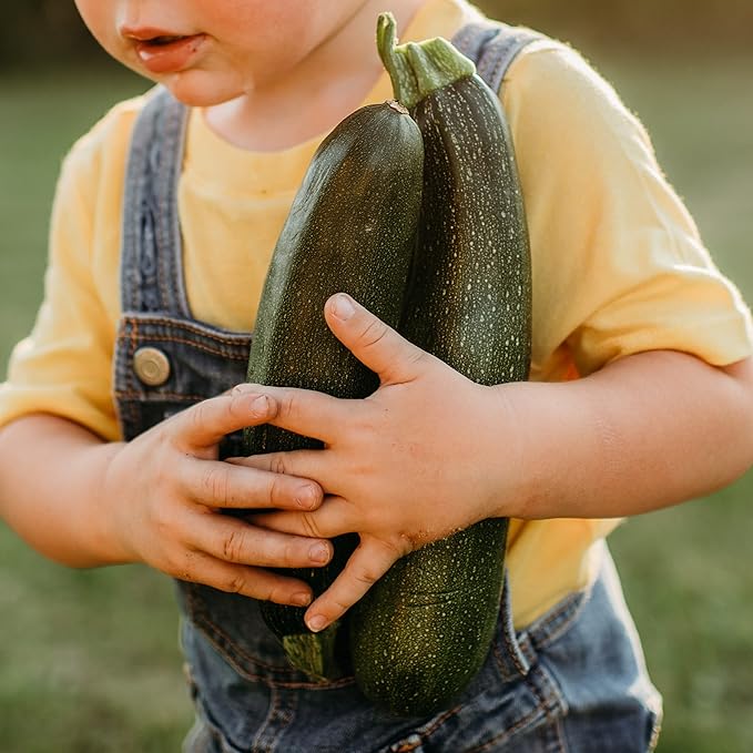 Black Beauty Zucchini - 25 Seeds - Heirloom & Open-Pollinated Variety, Easy-to-Grow, Non-GMO Vegetable Seeds for Planting Outdoors in The Home Garden, Thresh Seed Company
