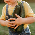 Black Beauty Zucchini - 25 Seeds - Heirloom & Open-Pollinated Variety, Easy-to-Grow, Non-GMO Vegetable Seeds for Planting Outdoors in The Home Garden, Thresh Seed Company