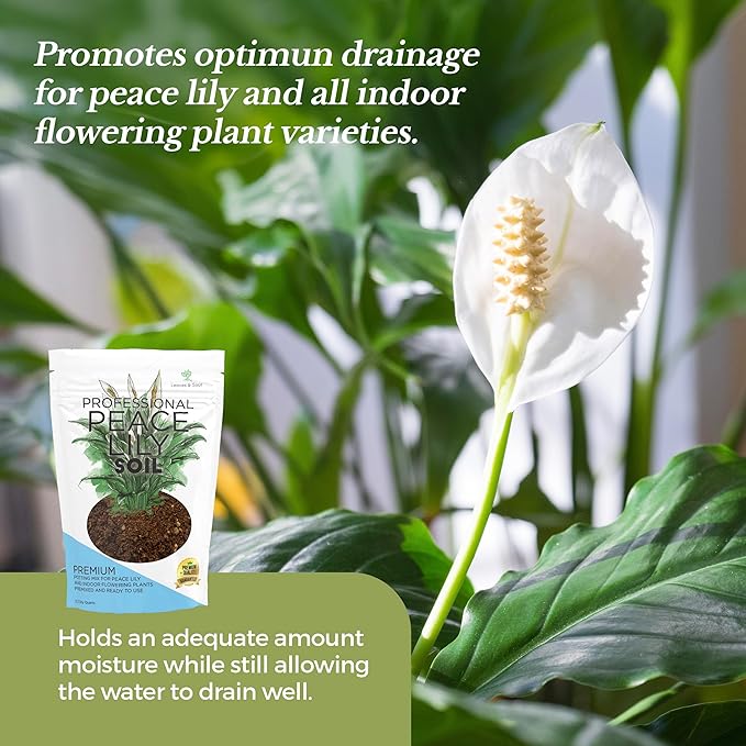 Professional Peace Lily Soil | Large 8.2 Quarts Ready to Use for Peace Lily Plants | Peat Moss, Coco Coir, Perlite, Dolomite | Made in USA