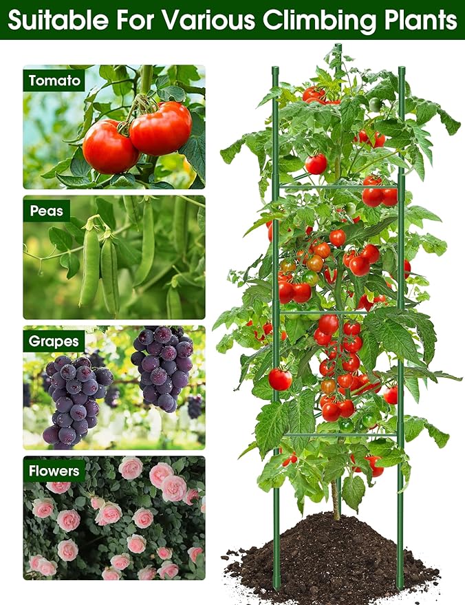 Tomato Cage, 3Pack 51.2inch Tall Tomato Trellis Triangle Tomato Cages for Garden Climbing Plants, Raised Garden Bed Plant Support Stakes for Garden,Pots, Plant Cages & Supports（Extra Bold）
