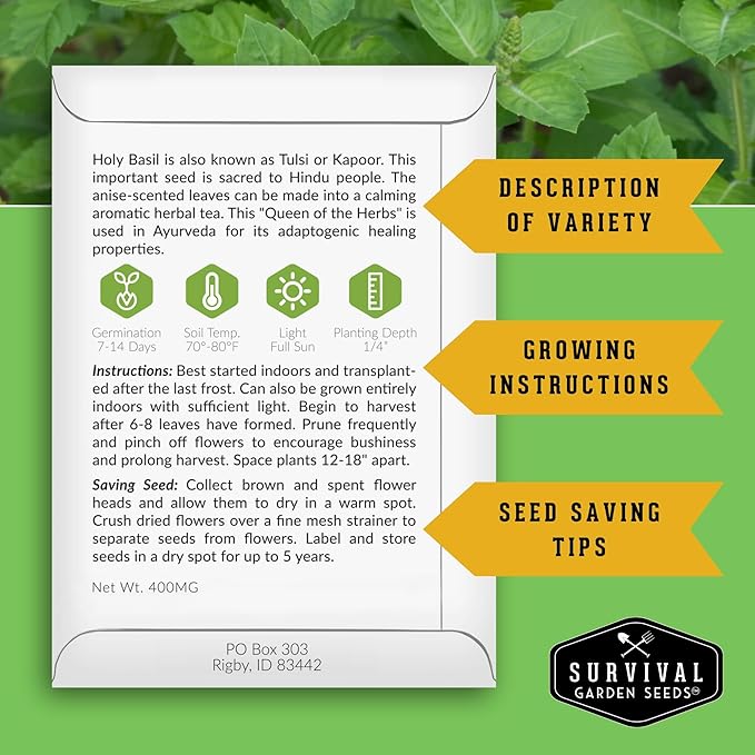 Survival Garden Seeds - Holy Basil Seed for Planting - 3 Packets with Instructions to Plant and Grow The Indian Sacred Herb Tulsi in Your Home Vegetable Garden - Non-GMO Heirloom Variety