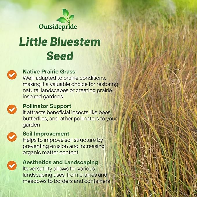 Outsidepride Perennial Little Bluestem Grass Seed - 5 lbs. Warm Season, Drought Resistant, Long-Lived Native Prairie Grass Seed, Ideal for Erosion Control, Ornamental Landscaping & Wildlife Gardens