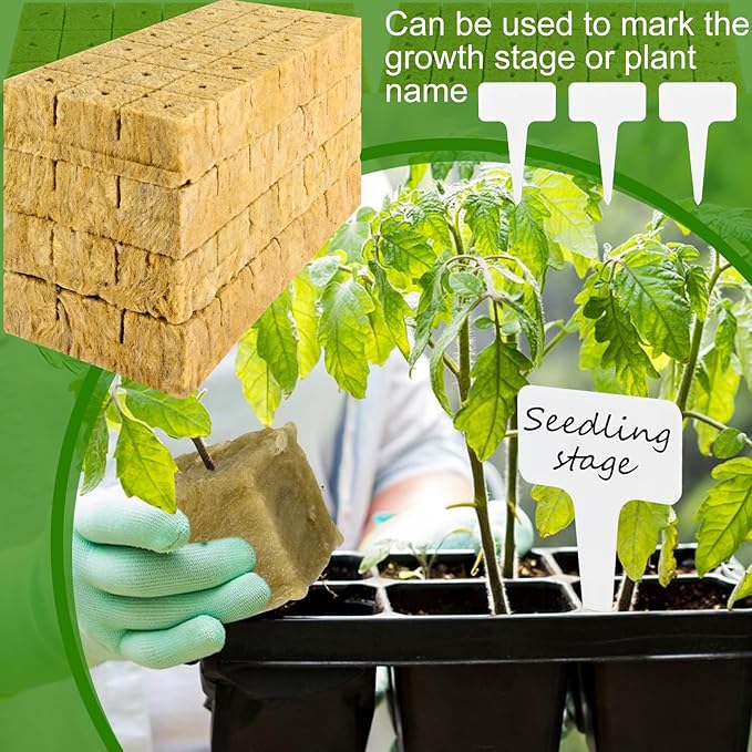 252 Pieces Rockwool Cubes for Hydroponics 1.5'' Rock Wool Planting Cubes Rockwool Starter Plugs Blocks with 20 Plant Name Tags for Soilless Cultivation, Seedlings Cuttings Plant Supplies