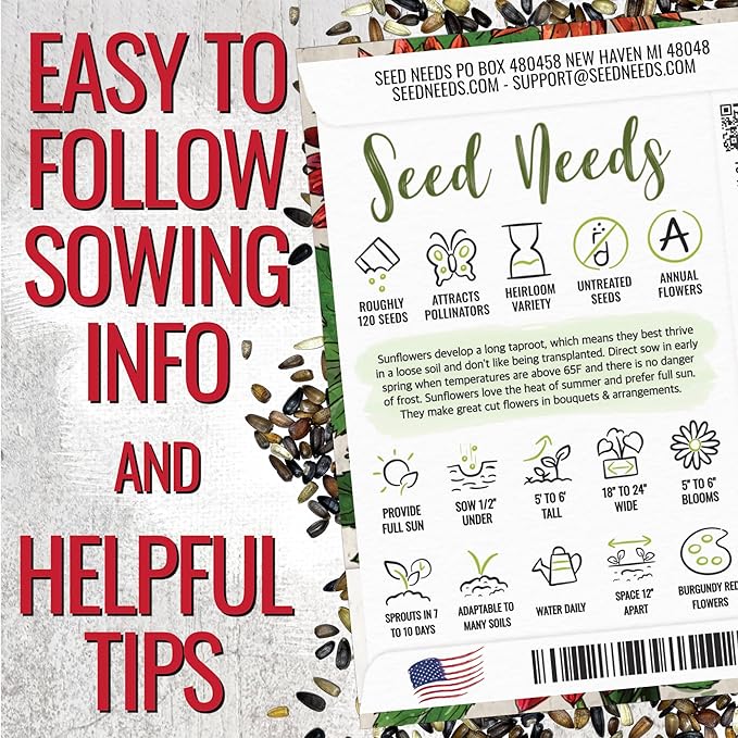 Seed Needs Sunflower Seeds for Planting Red Sun Sunflowers - Heirloom & Open Pollinated Annual Flowering Plants to Grow a Butterfly Garden to Attract Pollinators (1 Pack)