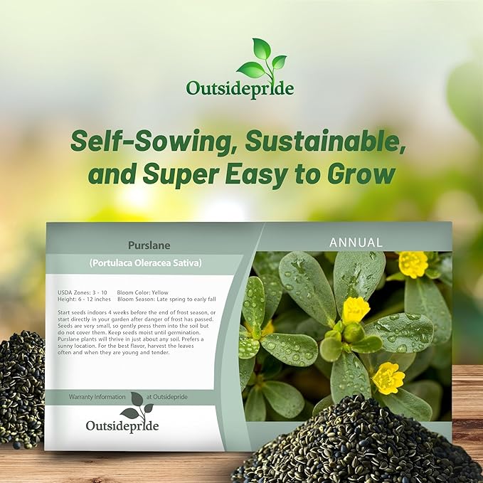 Outsidepride Green Purslane Seeds for Planting - 10,000 Pcs Annual, Easy to Grow, Vitamin-Rich & Drought Tolerant Succulent Seeds for Culinary, Xeriscaping, Containers & Hanging Baskets